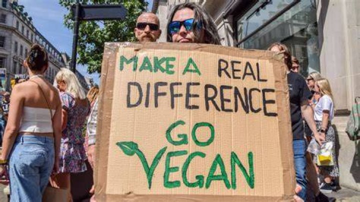 Why can vegans not eat figs
