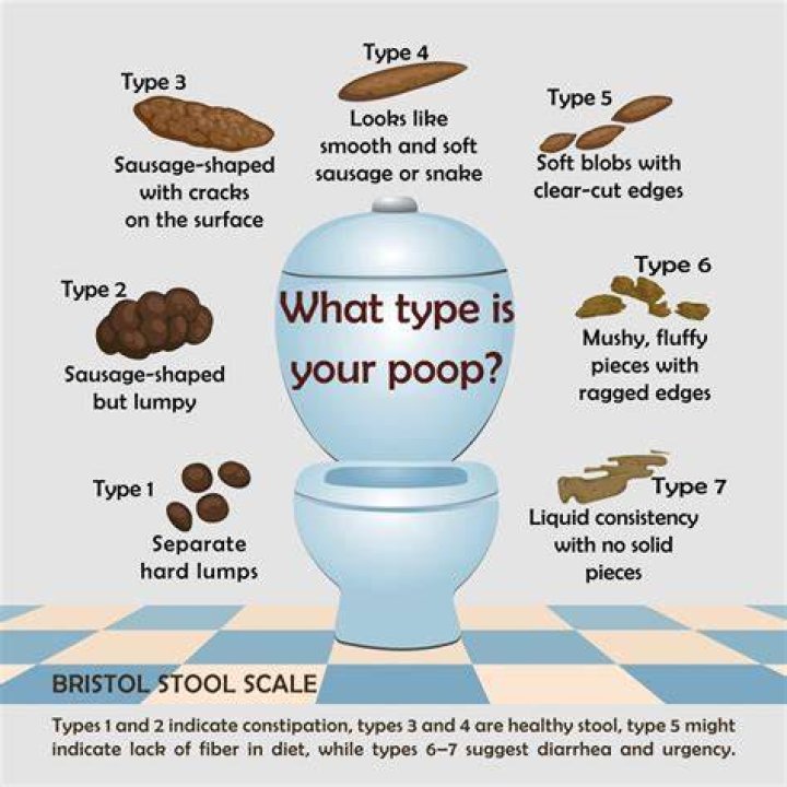 Why do I not poop regularly