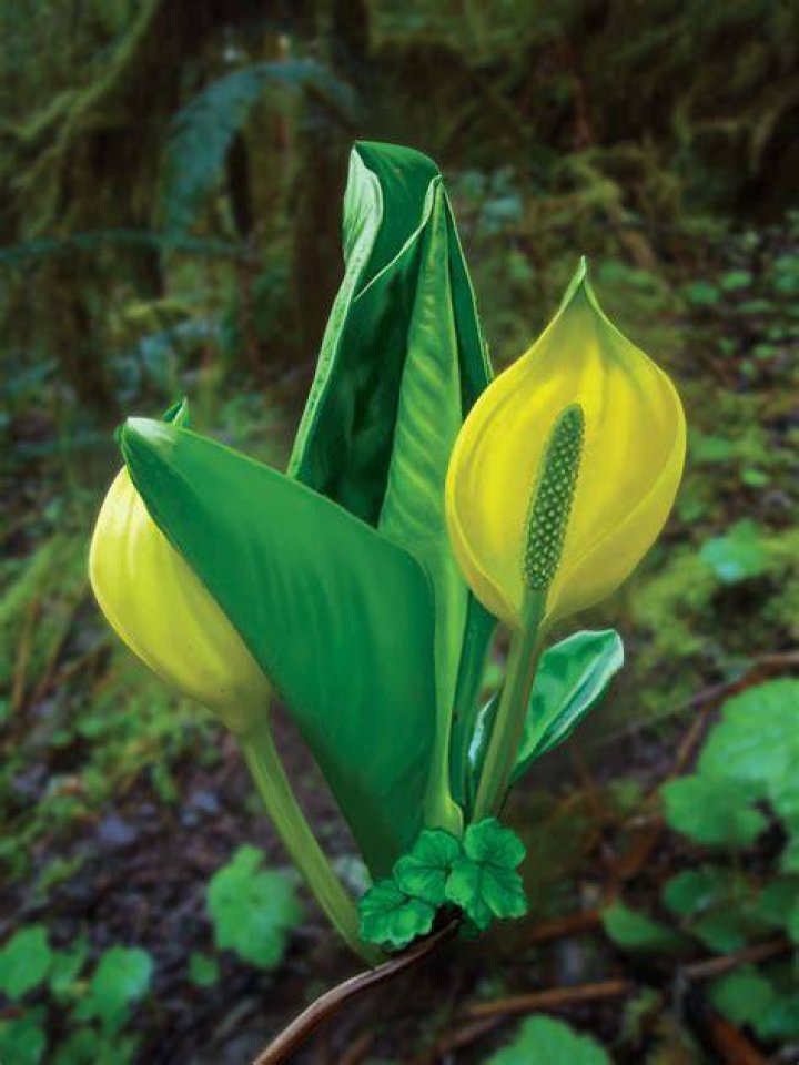 Why do some plants smell bad