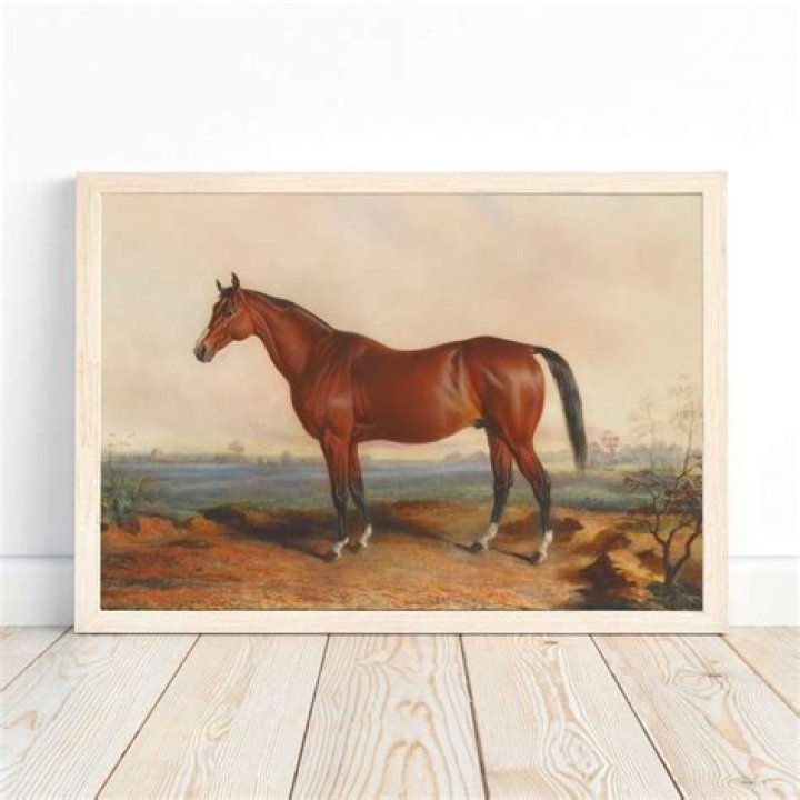 Why do we call horses Dobbin
