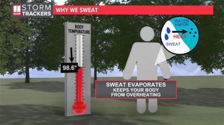 Why do we sweat short answer
