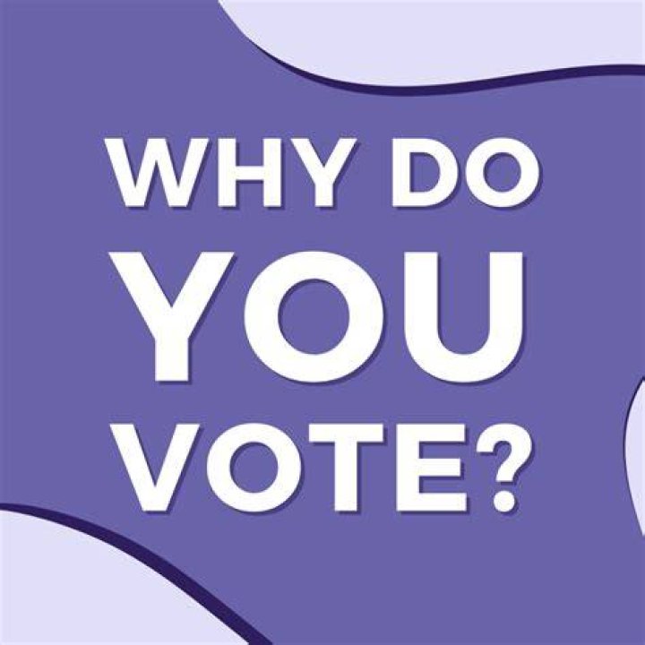 Why do we vote every 2 years