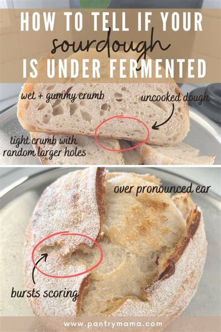 Why does bread rise so much