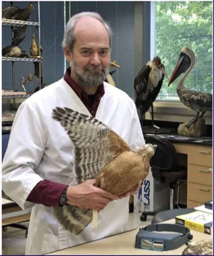 Why does ornithologist mean