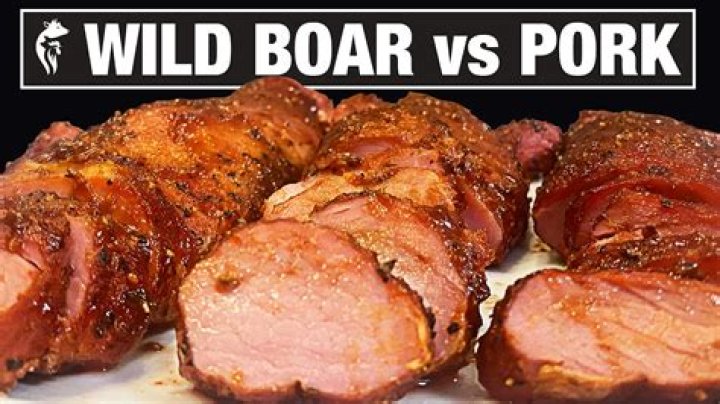 Why does wild boar taste bad