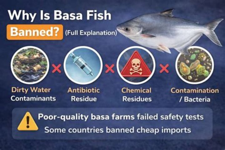 Why is cod fish bad for you
