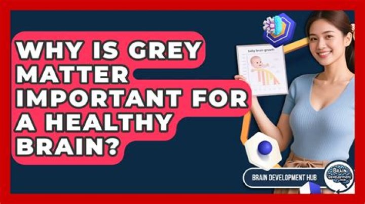 Why is GREY matter important