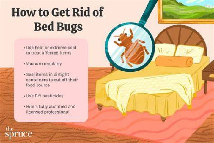 Why wont raid kill bed bugs