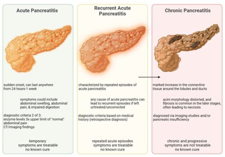 Why would a pancreas atrophy
