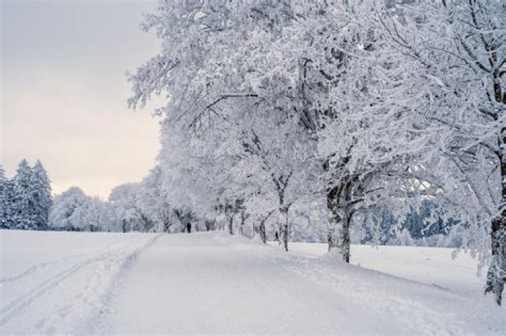 Will 2020 be a snowy winter