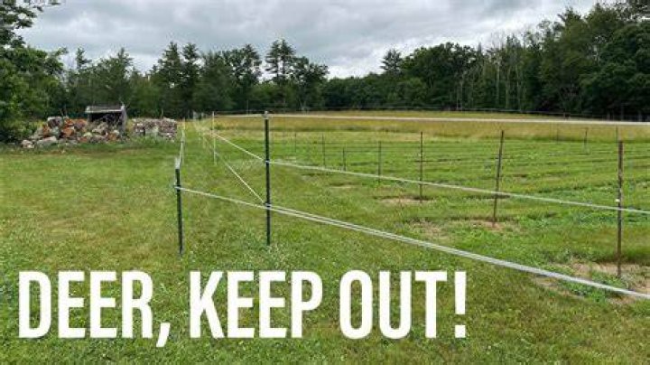 Will a 7 fence keep deer out