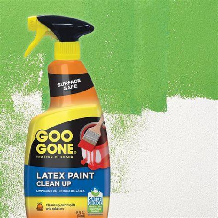 Will Goo Gone take off paint