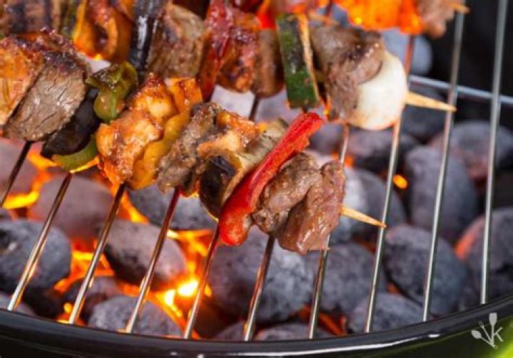 Will Heat kill mold on grill