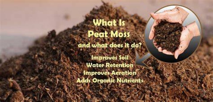 Will peat moss acidify soil