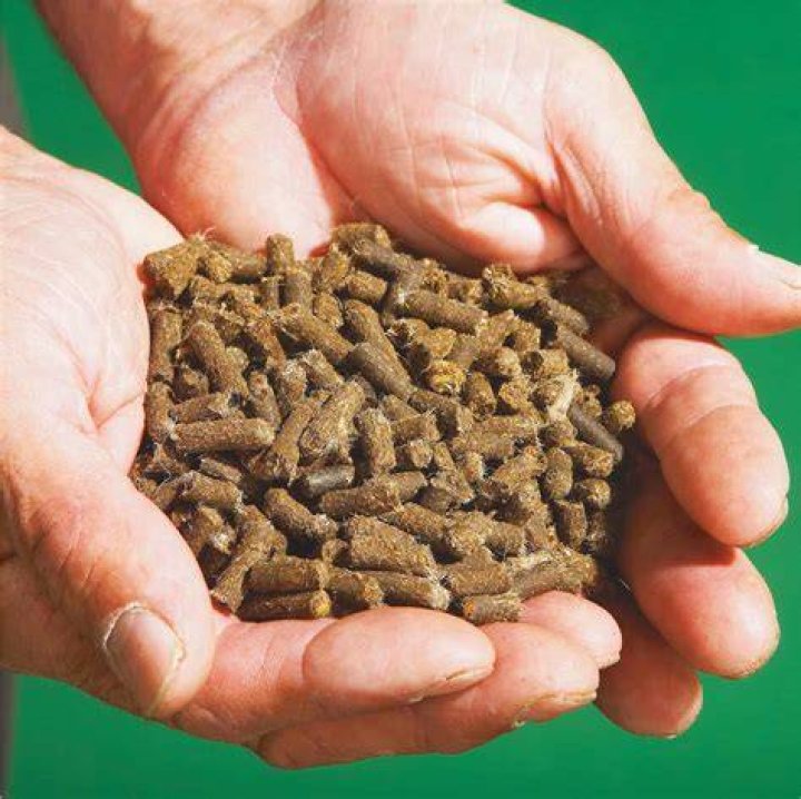 Will slug pellets harm rats